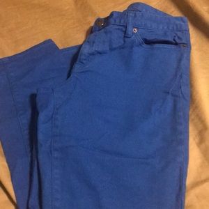 Bright Blue 5 Pocket JCrew Toothpick Style